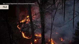 Progress made on NJ-NY wildfire