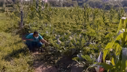 New Farms for New Americans