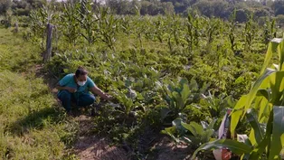 New Farms for New Americans