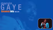 Marvin Gaye: Greatest Hits Alive