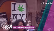 In-Depth Look at New York's New Marijuana Legalization Law