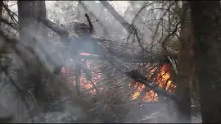 Pagami Creek Fire Update