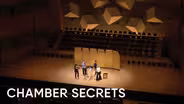 Chamber Secrets