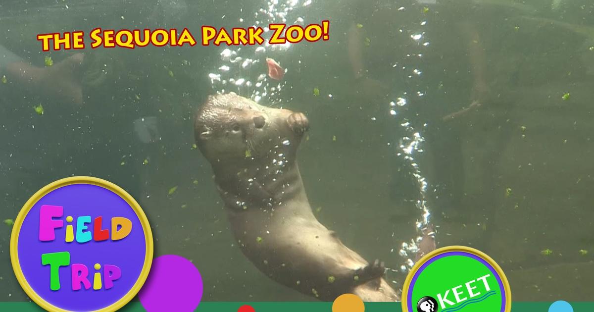 Field Trip | Sequoia Park Zoo