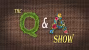 Q&A Show #1