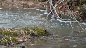Wild Waters: asset-mezzanine-16x9