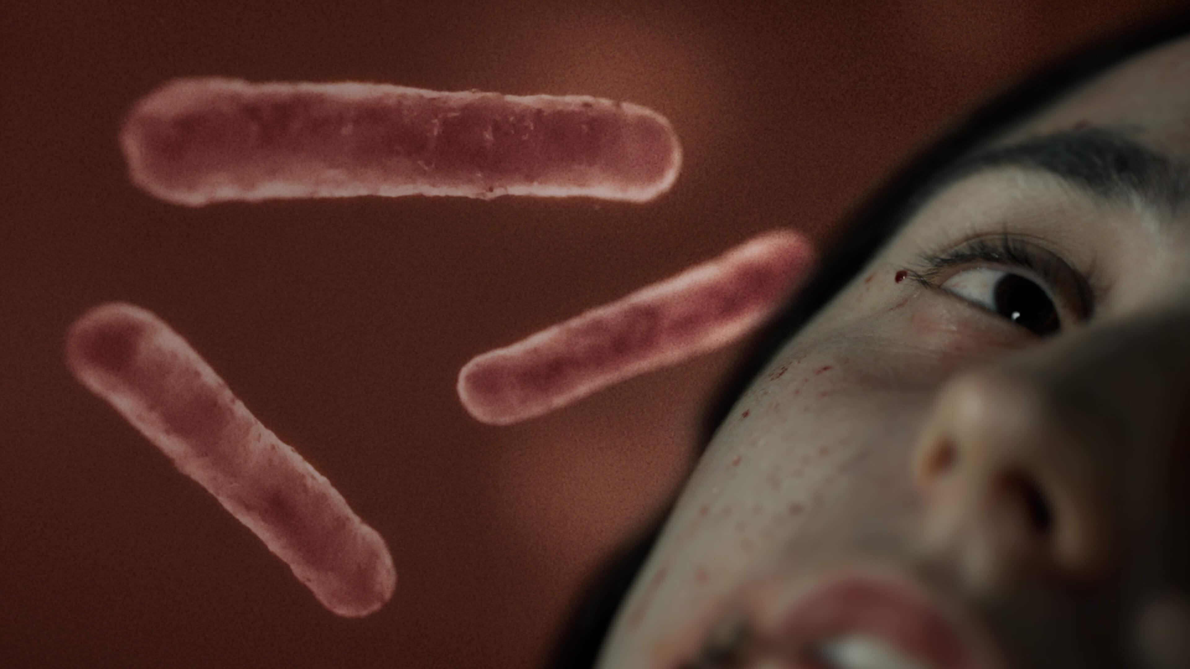 Scientists study medieval bubonic plague victims in hopes of preventing future outbreaks.