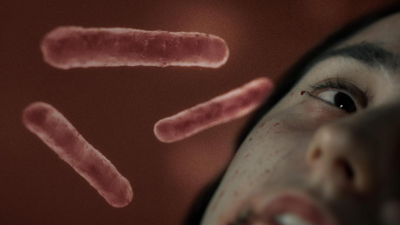 Secrets of the Dead | Preview | Chasing the Plague