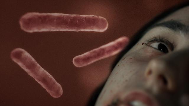 Secrets of the Dead | Preview | Chasing the Plague