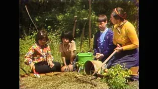 Hodgepodge Lodge: New Ways of Gardening