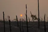 News Wrap: Firefighters make progress on Calif. wildfires