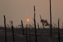 News Wrap: Firefighters make progress on Calif. wildfires