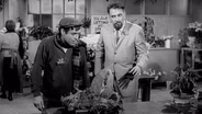 The Little Shop of Horrors (1960)