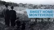 Sweet Home Monteverde