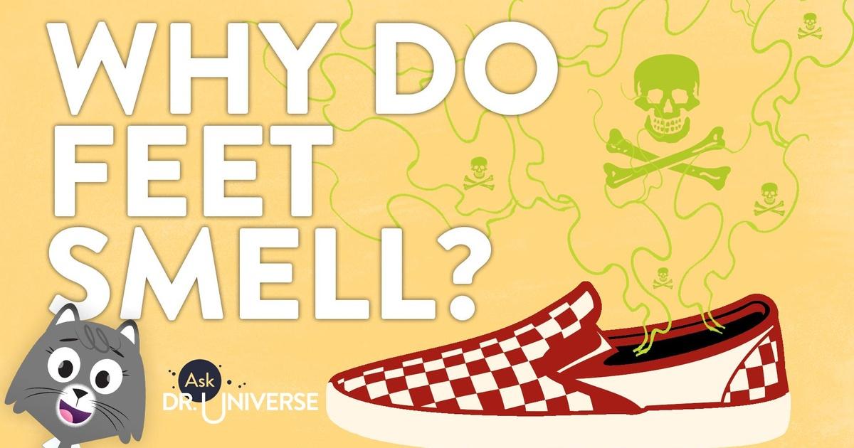 Ask Dr. Universe Why Do Feet Smell? Episode 8 PBS