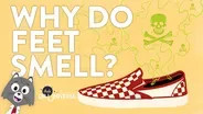 Why Do Feet Smell?