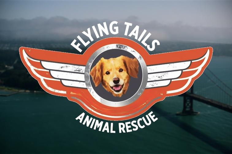 Flying Tails Animal Rescue Poster