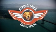 Flying Tails Animal Rescue