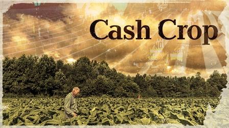 Video thumbnail: REEL SOUTH Cash Crop | Official Trailer