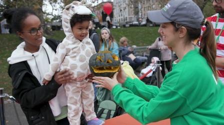 Video thumbnail: Camp TV Four Seasons in Central Park