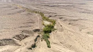Preserving the Desert with NALC (Preview)