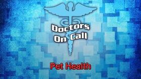 Video thumbnail: Doctors On Call Doctors On Call - Dr. Steve Mosier - Pet Health (Ep.1502)