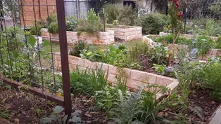 Raised Beds, Permaculture, Hydroponics