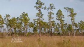 Video thumbnail: Your South Florida Love the Everglades – Symposium & Cleanup