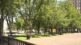 Video thumbnail: NJTV News As heat wave sweeps the state, residents try to stay cool