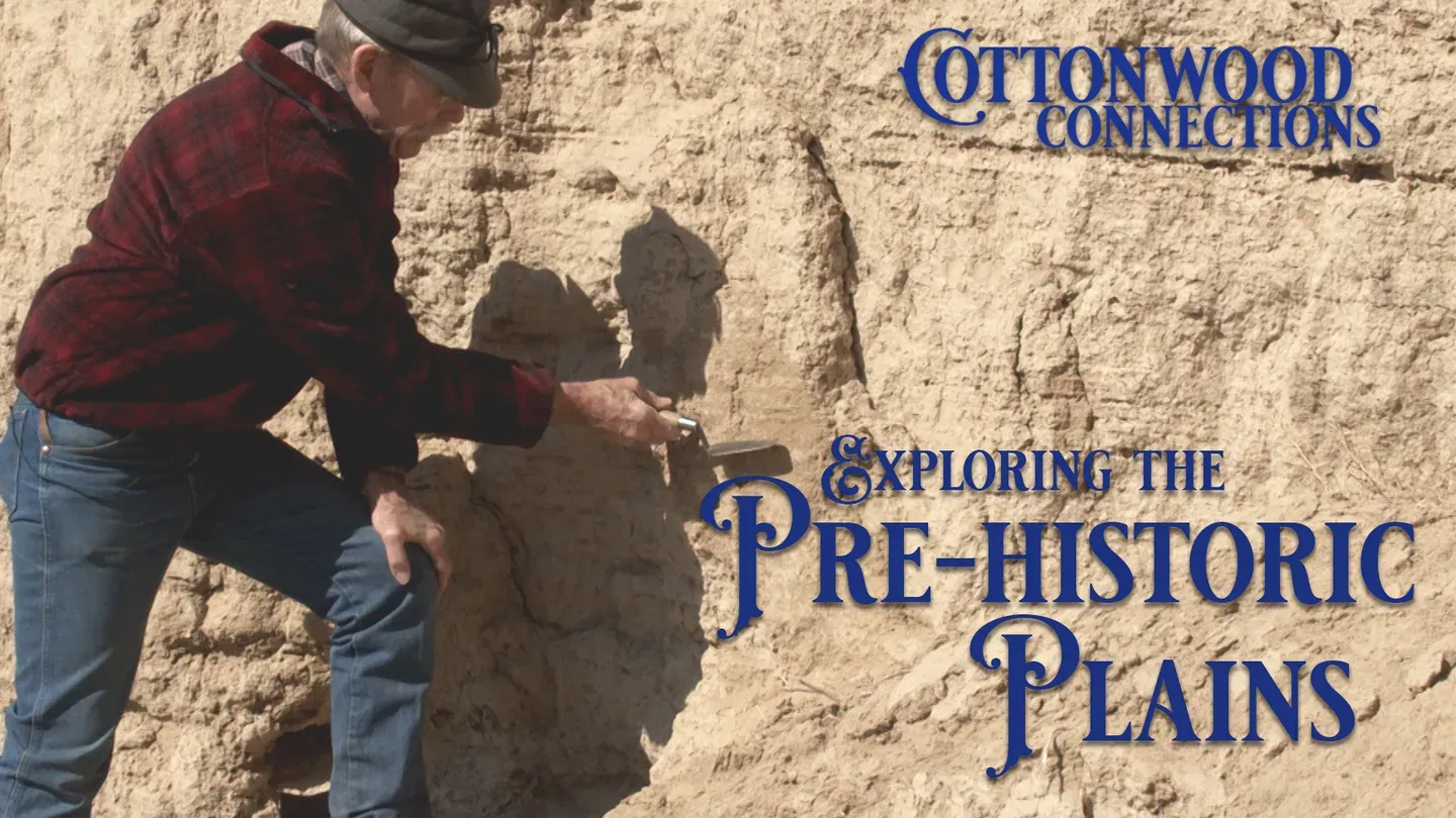 Discovering the Prehistoric Past