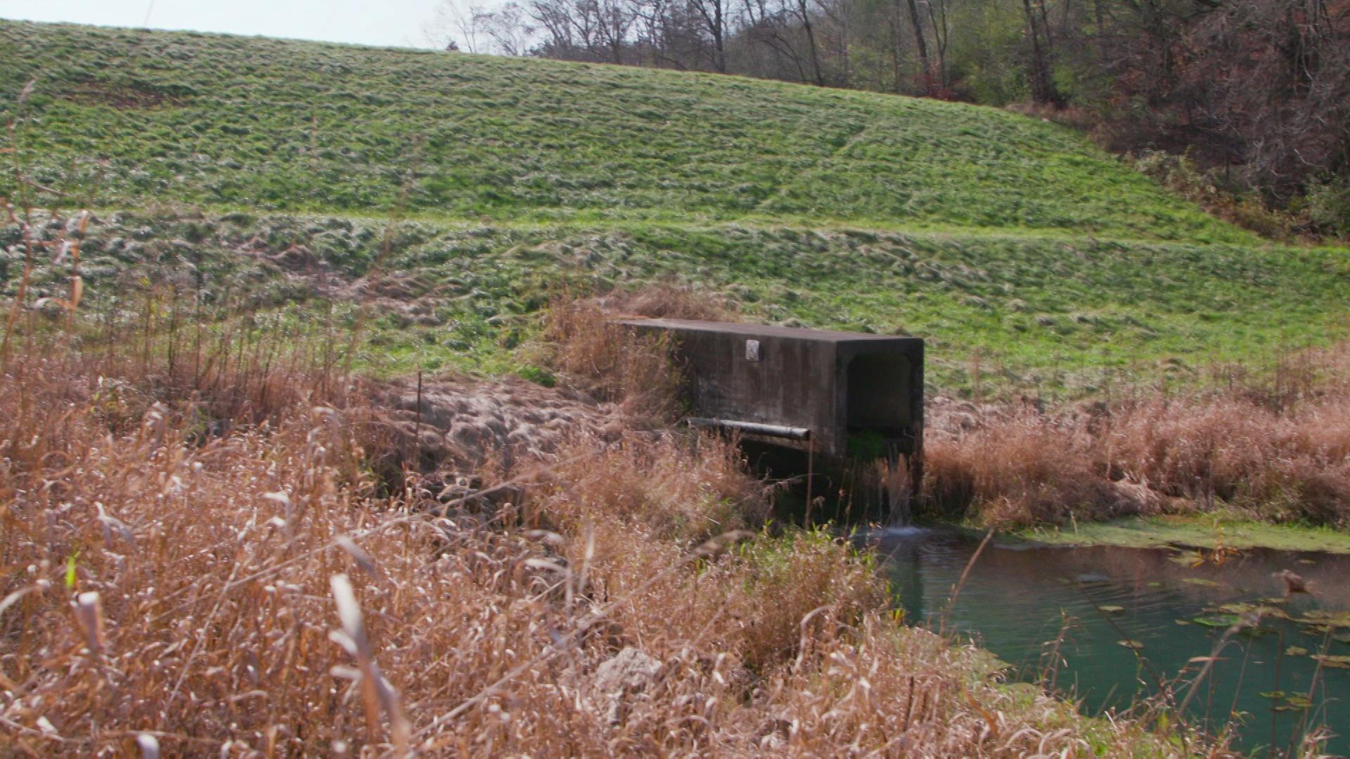 What to do about aging dams in Wisconsin’s Driftless Area?