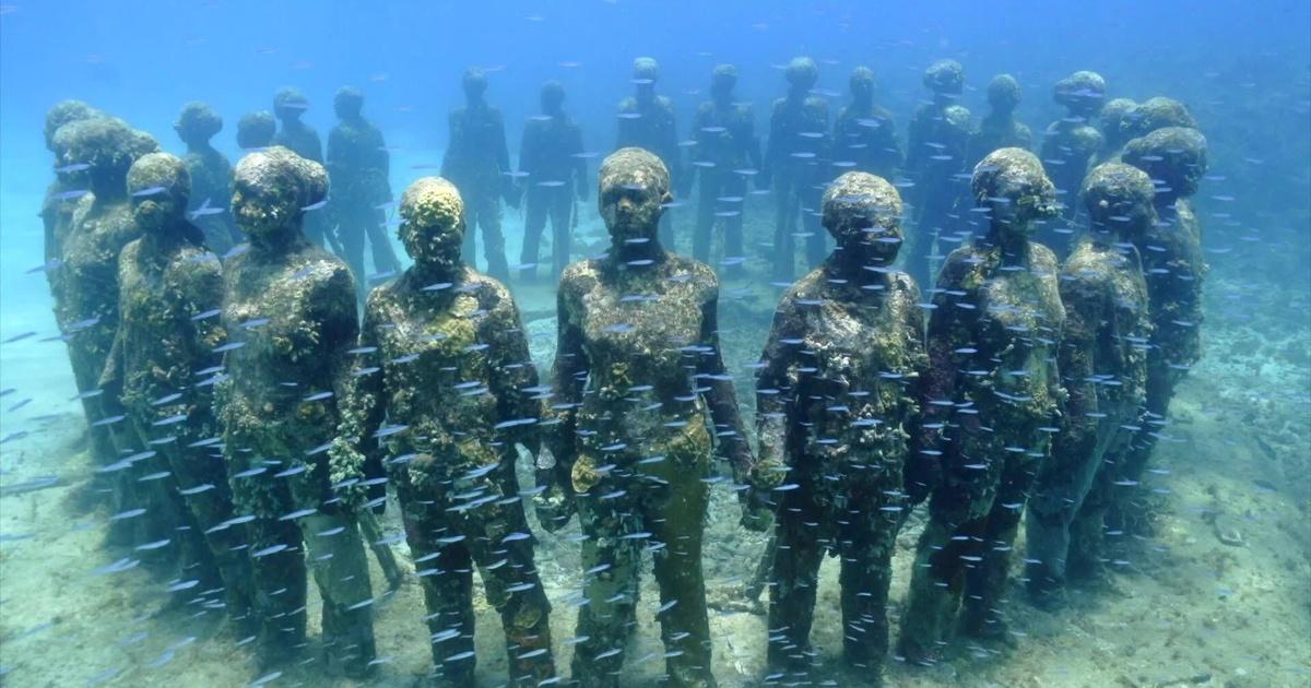 PBS News Hour | Underwater sculptures highlight dangers of climate change | Season 2024