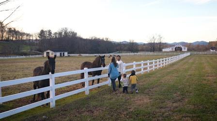 Video thumbnail: North Carolina Weekend The Horse Shoe Farm