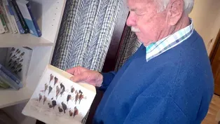 Bob the Birder, Part 2