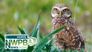 Federal Cuts to NW Libraries, Local News Deserts, and Burrowing Owls: April 16, 2025