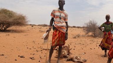 Deadly drought in Kenya creates humanitarian crisis