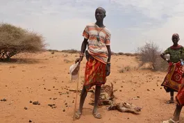 Deadly drought in Kenya creates humanitarian crisis