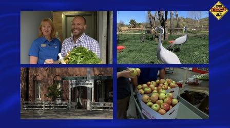 Video thumbnail: Rob on the Road A Decade of Destinations – More Day Trips