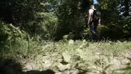 Hiking Across the State