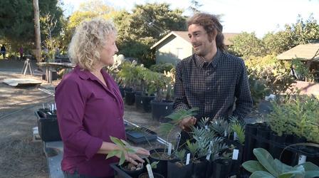 Video thumbnail: A Growing Passion Botanic Garden in Your Backyard