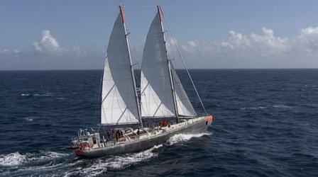 Video thumbnail: QED With Dr. B Bacteria And Viruses In Our Oceans