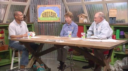 Video thumbnail: The Family Plot Birdhouses & Live Animal Traps