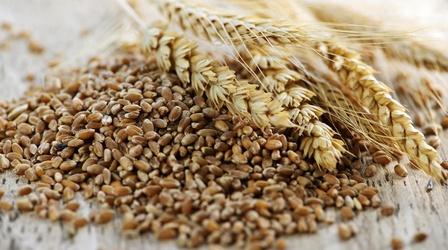Video thumbnail: WMHT Specials Healthy Families | Whole Grains