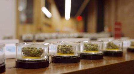 Video thumbnail: Broken Bread Cannabis Preview