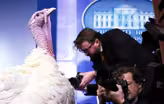 The surprising history behind the Thanksgiving turkey pardon