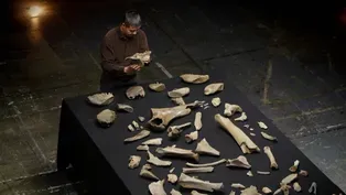 The Mammoth Species You've Never Heard Of