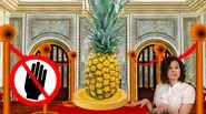 Historical Food Flexes