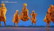 THE PRIDE ON BROADWAY