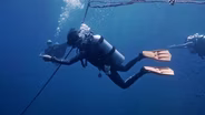 Preview | Science in the Sea