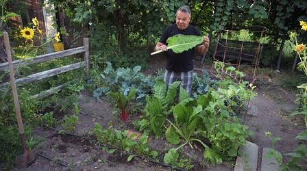 Video thumbnail: This Is Utah In Your Backyard